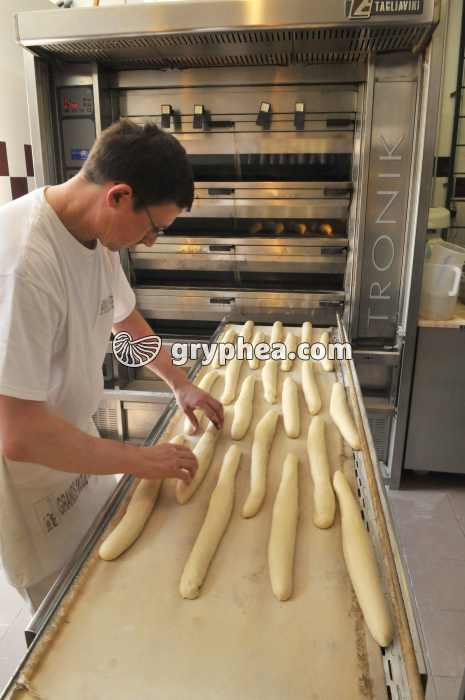 Fabrication du pain - Pâtons fermentés et mis en forme avant cuisson - gryphea.com